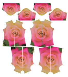 How to set up placement print - Digital Fabrics