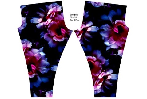 Print Pattern Sushi Print Pattern Women Leggings