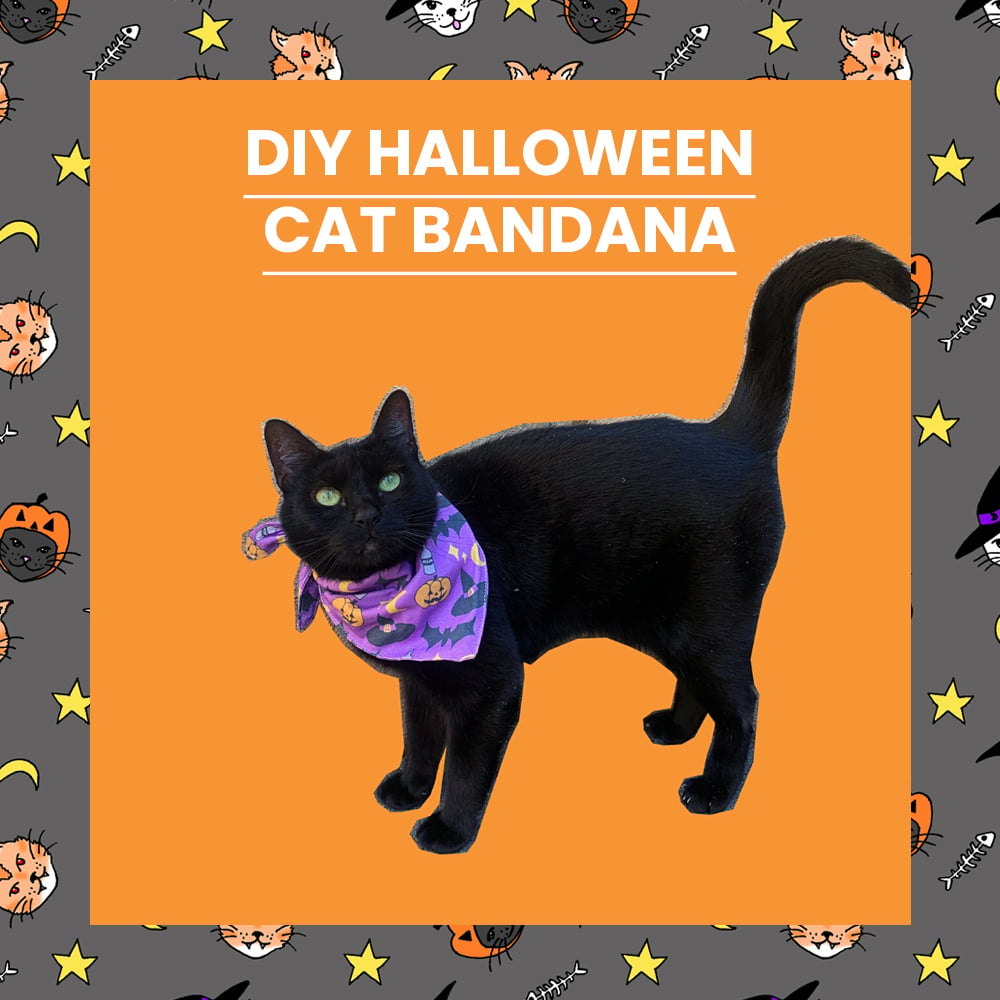 diy-cat-bandana-halloween-fabrics